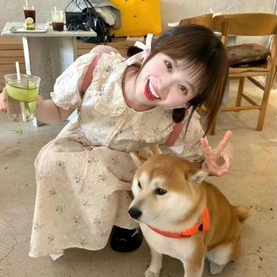 动物出击